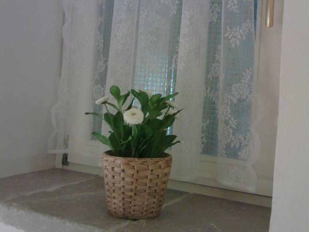 Porta San Michele Holiday home